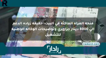منحة المرأة الماكثة في البيت: حقيقة زيادة الدعم إلى 8000 دينار جزائري وتوضيحات الوكالة الوطنية للتشغيل